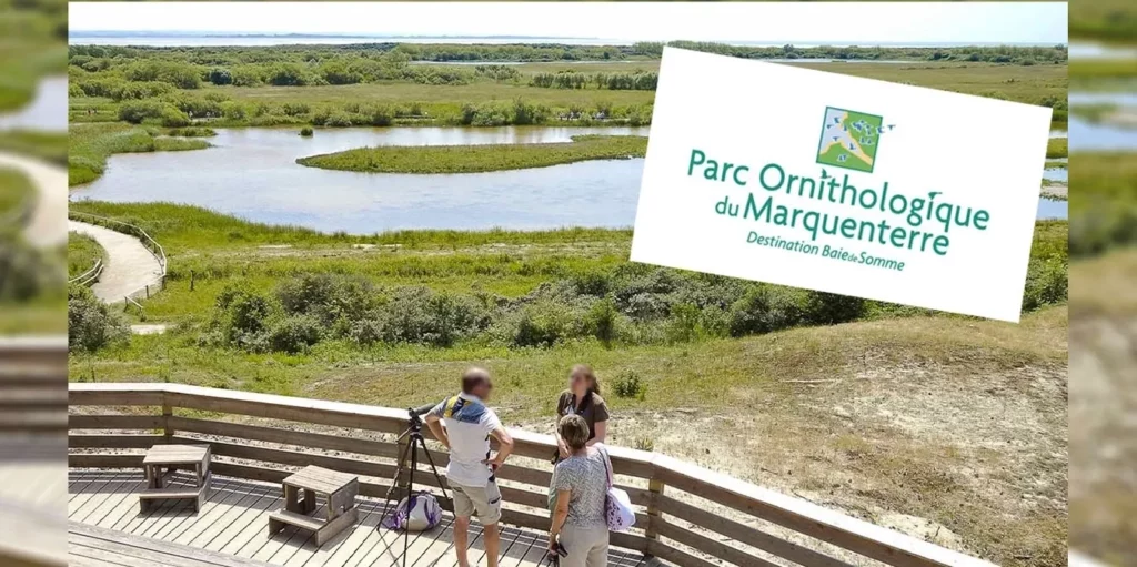 Parc ornithologique du Marquenterre